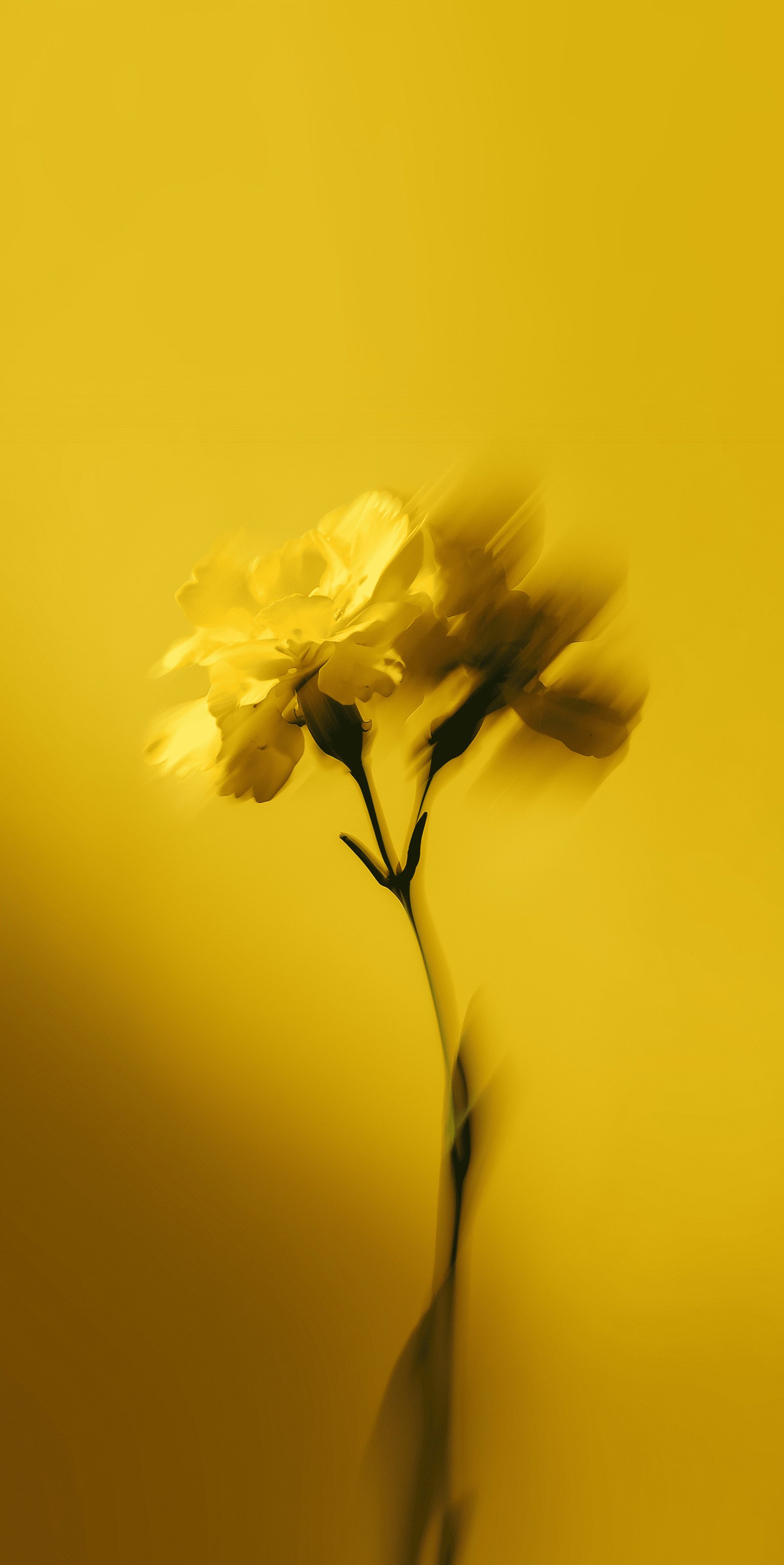 Abstract Yellow Flower Wallpaper 4k - Artist wallpaper - 4K