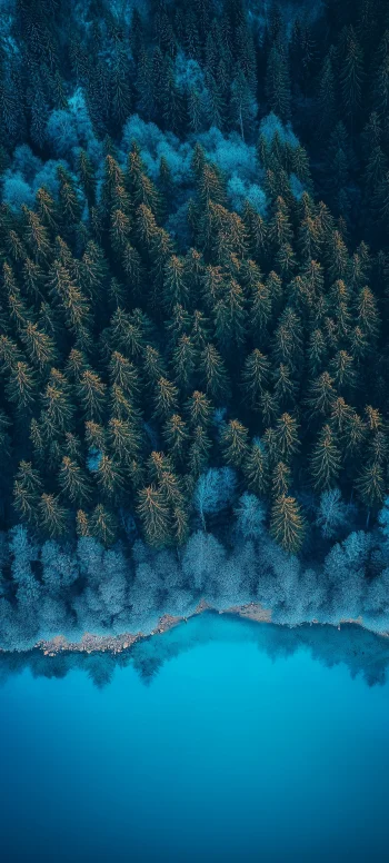 Aerial View Forest & Turquoise Lake Wallpaper 4K | Moody Teal Nature Background