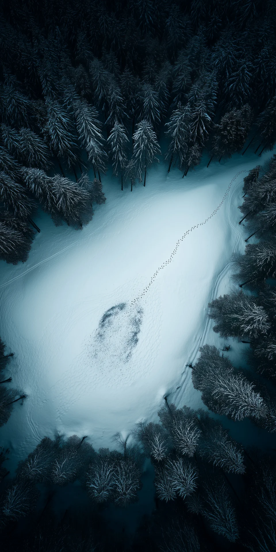 Aesthetic Aerial Winter Forest Wallpaper 4K Snowy Clearing... - Nature wallpaper - 4K