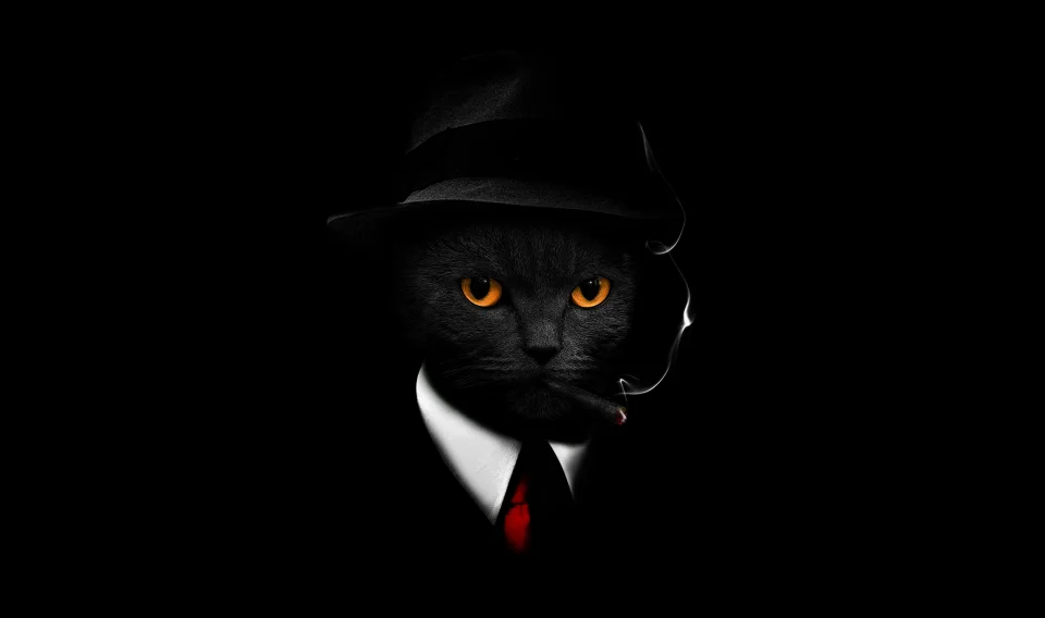 AMOLED Mafia Black Cat 4K Wallpaper - Animals wallpaper - 4K