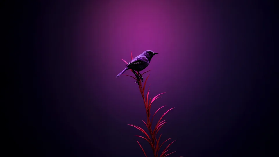 Bird Moments Of Quiet Reflection 4K Wallpaper - Birds wallpaper - 4K