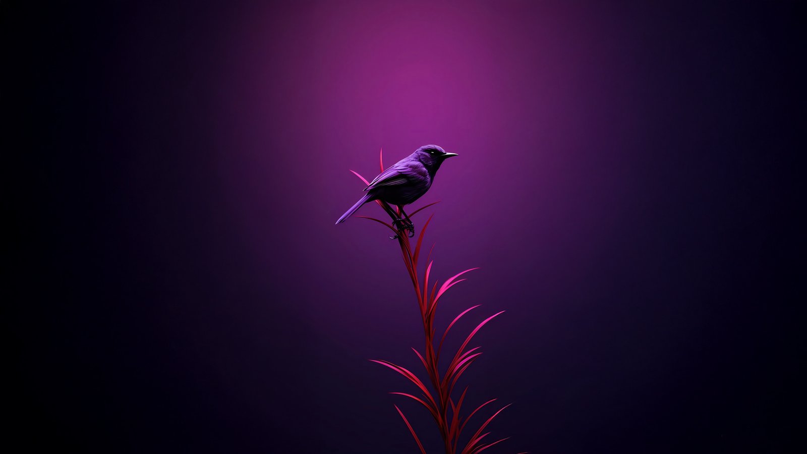 Bird Moments Of Quiet Reflection - Birds wallpaper - 4K