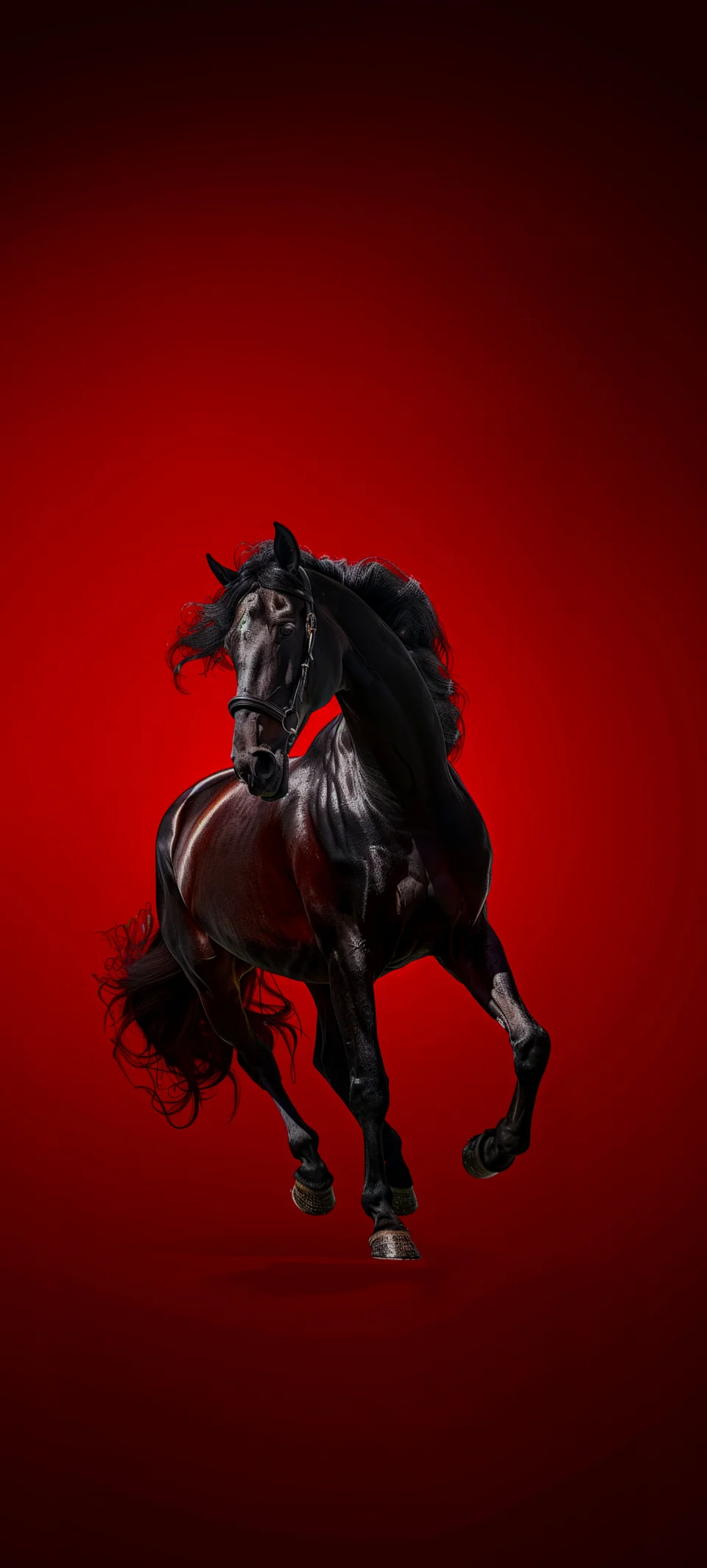 Black Stallion Horse On Red Background 4K AMOLED Wallpaper - Animals wallpaper - 4K