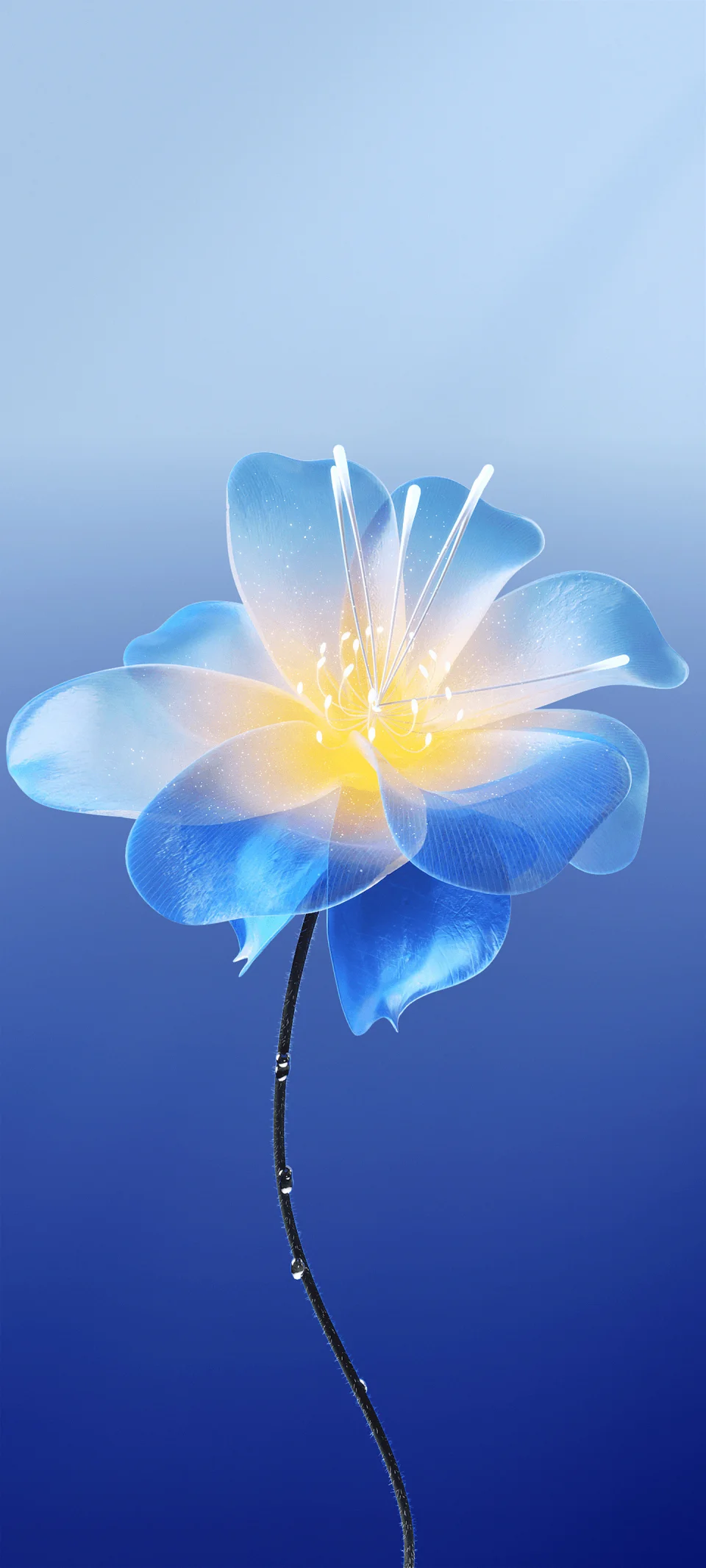 Blue Glow Flower 4K Wallpaper Aesthetic Ultra HD Mobile... - Flowers wallpaper - 4K
