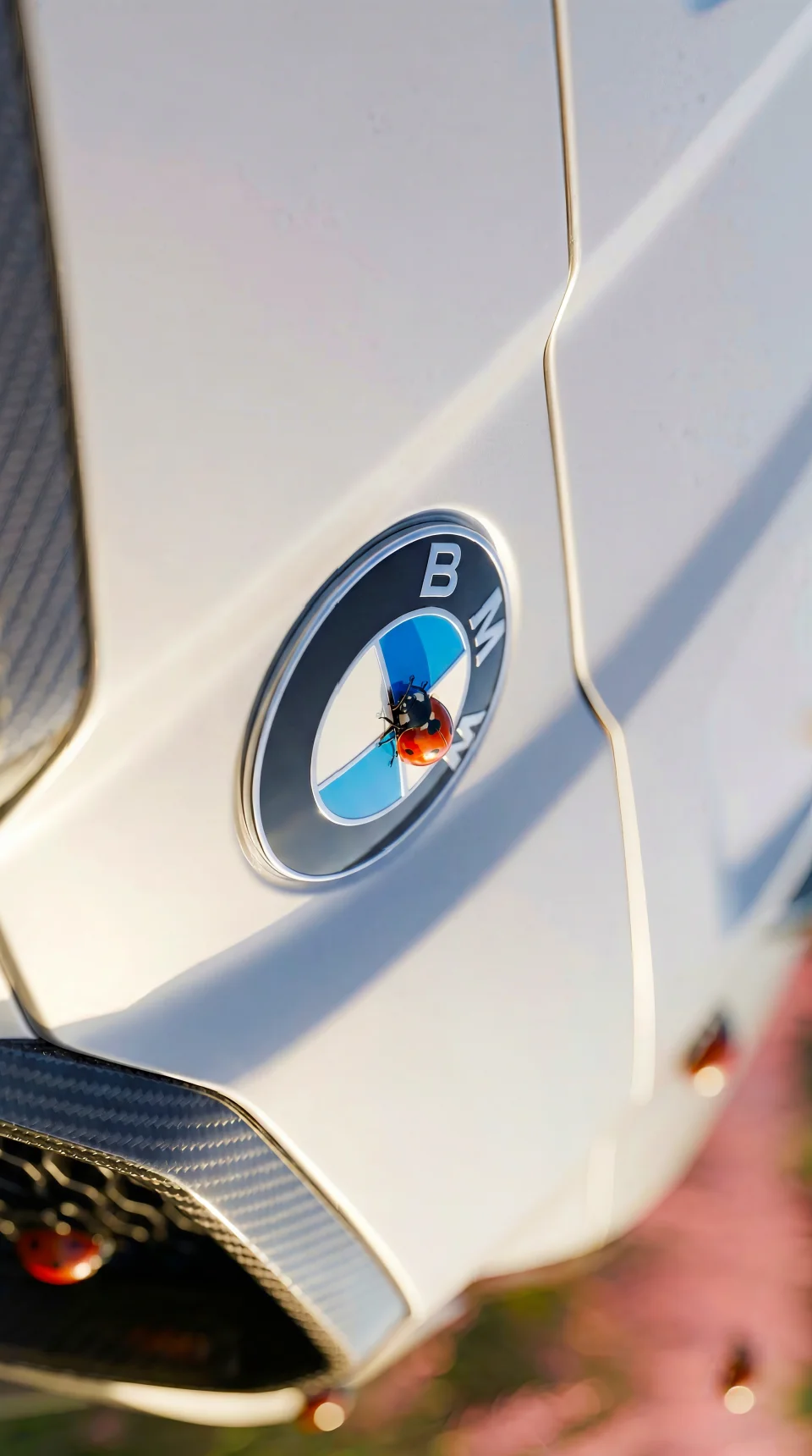 Bmw Logo Cars 4K Phone Wallpaper - Cars wallpaper - 4K