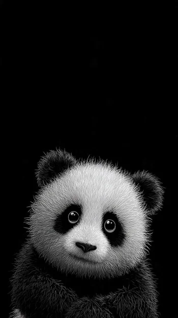 cute panda