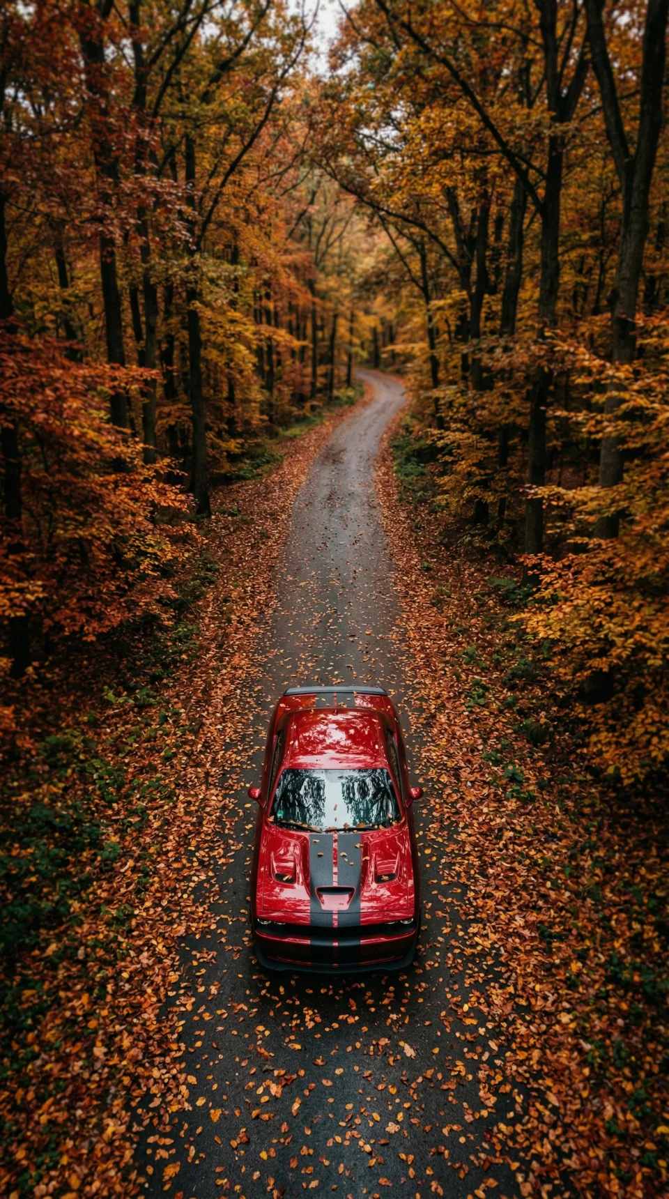Dodge Challenger Cars 4K Phone Wallpaper - Cars wallpaper - 4K