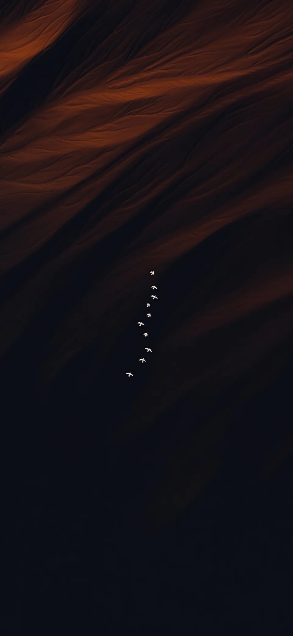 Flying Birds Minimal Dark 4K Wallpaper - Birds wallpaper - 4K