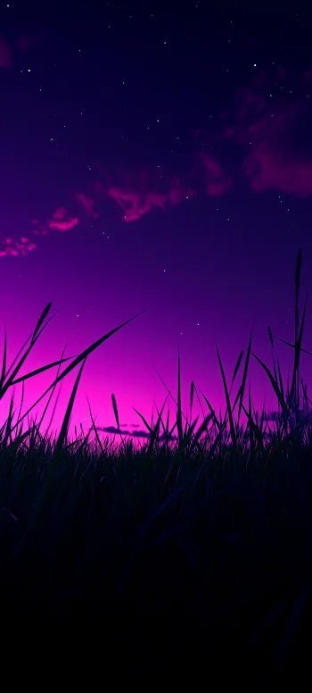 grass nature 4k wallpaper for phone