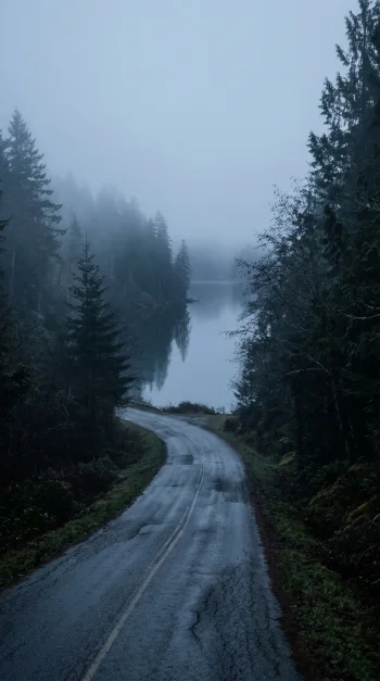 “Lost Between Silence”