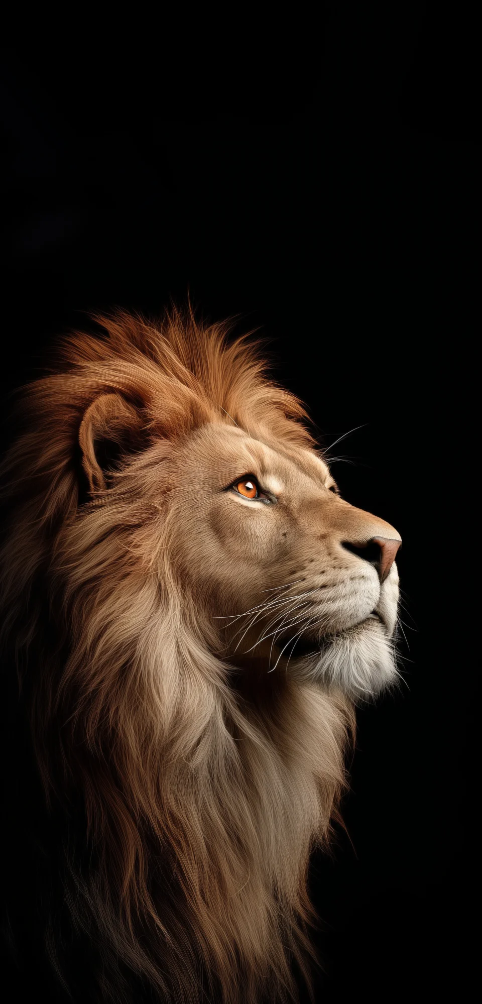 Majestic Lion Portrait Ultra HD 4K Wildlife Wallpaper - Animals wallpaper - 4K