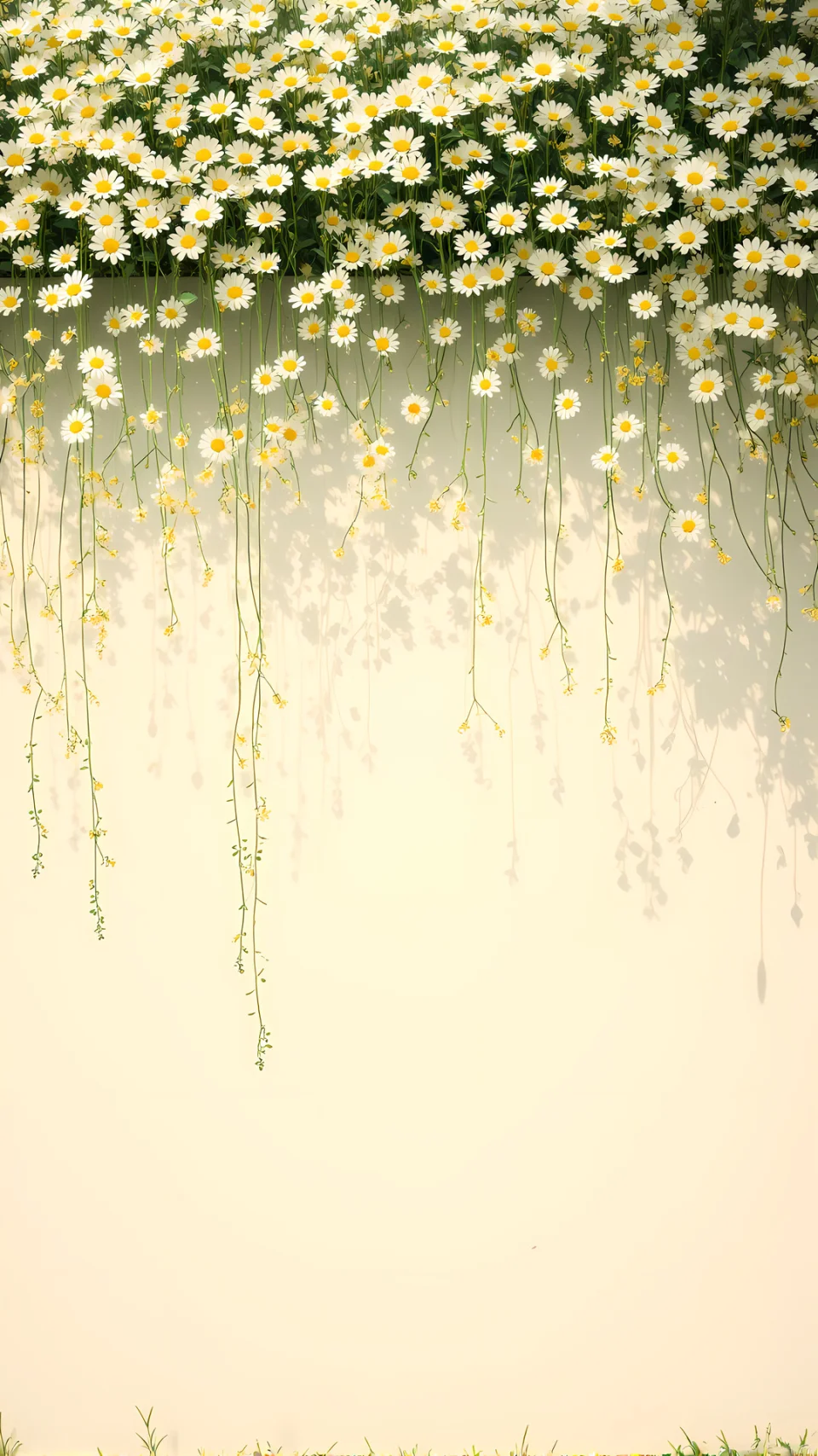 Trails Over The Wall Phone Wallpaper - Nature wallpaper - 4K