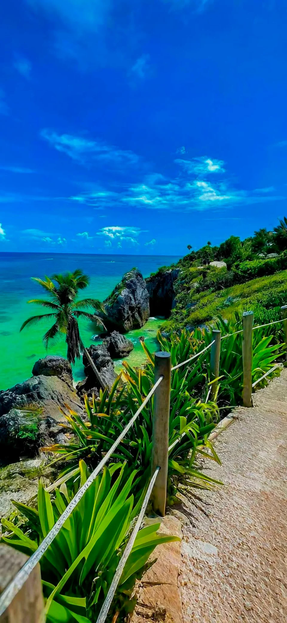 Tropical Beach Cliff Path 4K Wallpaper Turquoise Ocean Palm... - Nature wallpaper - 4K