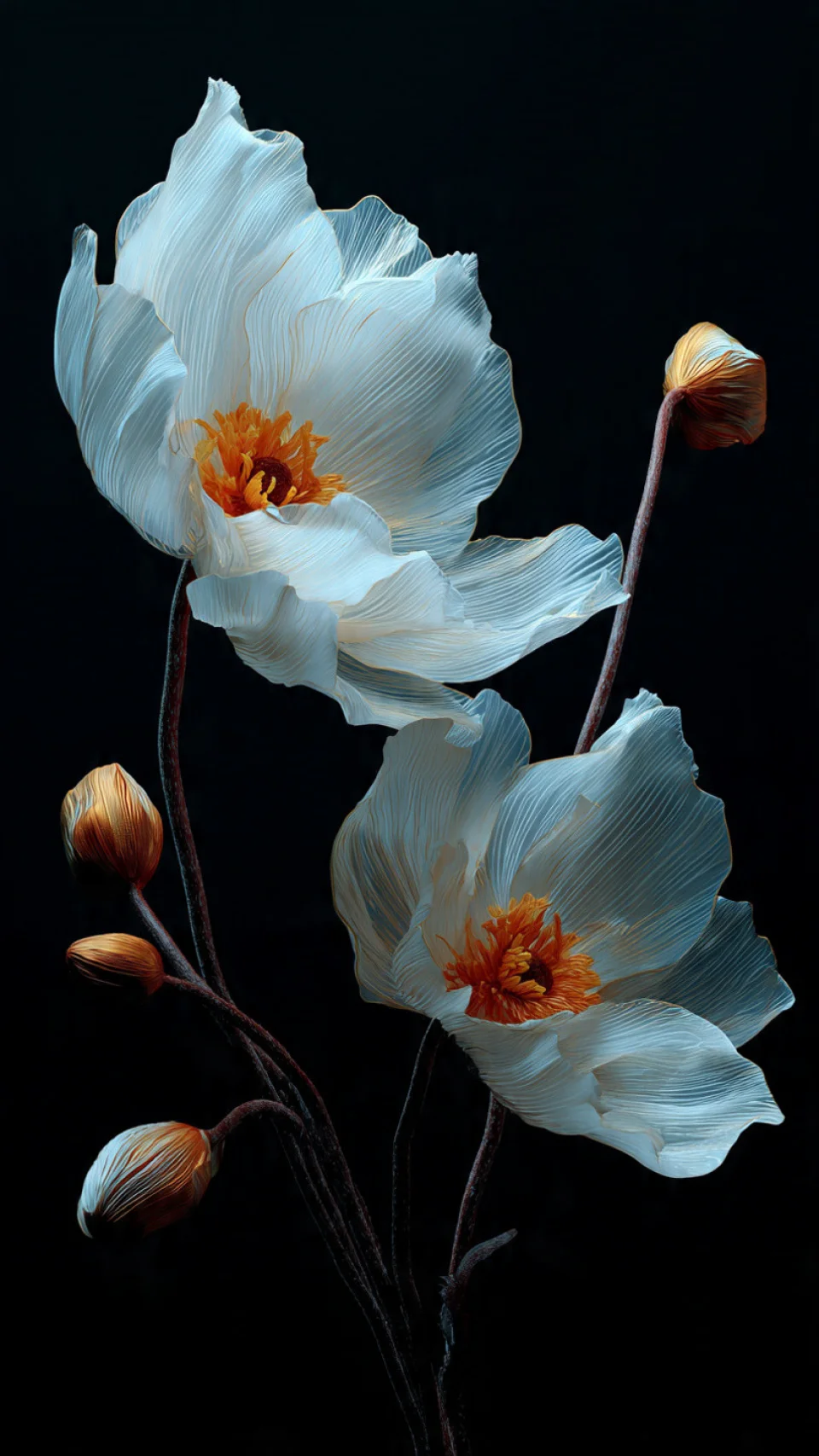 White Flower Aesthetic Wallpaper 4K Minimal Dark Background... - Flowers wallpaper - 4K