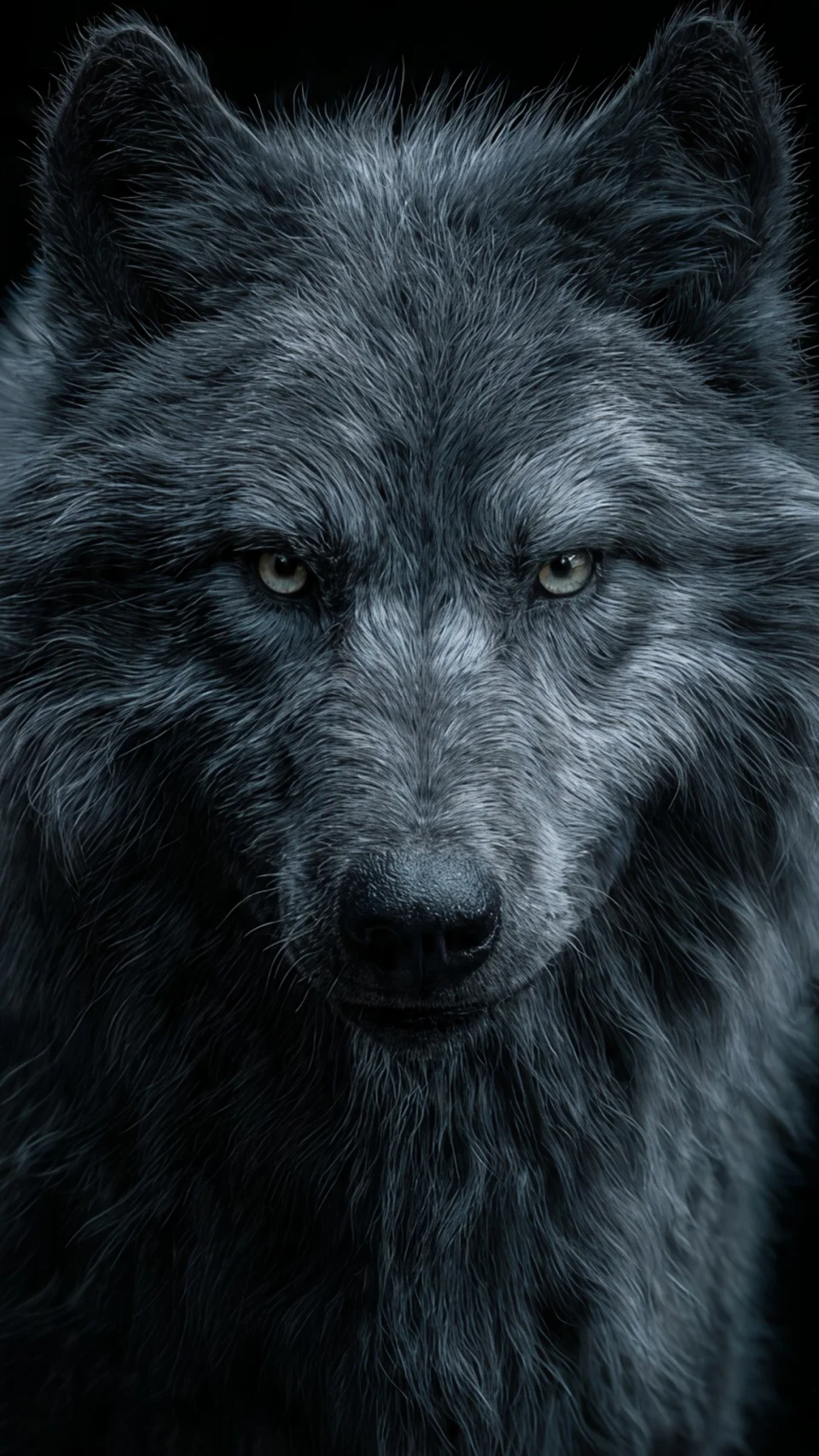 Wolf Wallpaper 3d 4K - 3D wallpaper - 4K